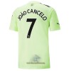 Officiële Voetbalshirt Manchester City Joao Cancelo 7 Derde 2022-23 - Heren